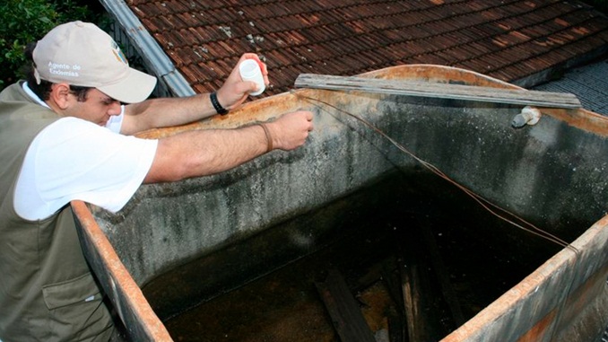 Quatro tipos diferentes do vírus da dengue circulam no Brasil