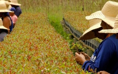 IEF completa 58 anos com reforço em programas de preservação ambiental