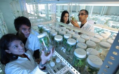 Inscrições para o Prêmio CBMM encerram na próxima terça-feira (28)