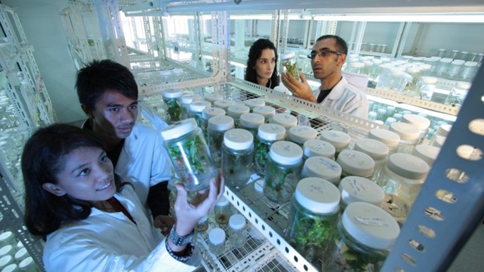 Inscrições para o Prêmio CBMM encerram na próxima terça-feira (28)