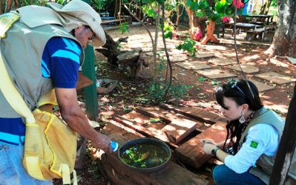 Período de chuvas exige maiores cuidados para evitar proliferação do mosquito da dengue
