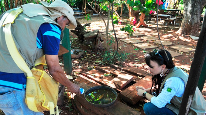 Período de chuvas exige maiores cuidados para evitar proliferação do mosquito da dengue