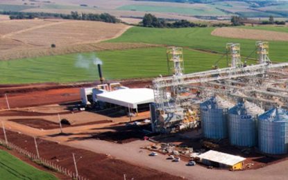 Menos burocracia, mais desenvolvimento sustentável: o que propõe a nova Lei de Licenciamento Ambiental