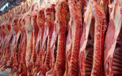 Três anos após parar de comprar carne brasileira com pus, EUA reabrem mercado para o produto