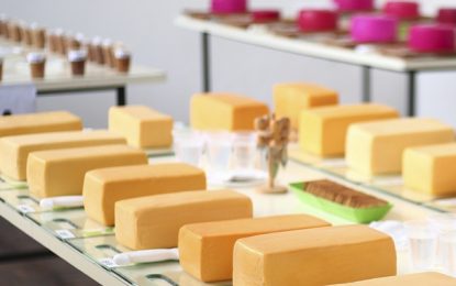 Aprenda como conservar queijos em casa de maneira adequada