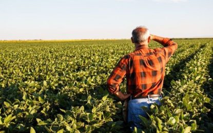 CNA disponibiliza WhatsApp para produtores rurais relatarem problemas ou dúvidas em relação ao coronavírus