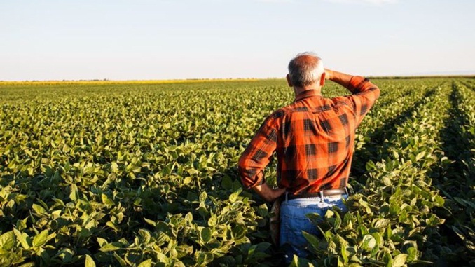 CNA disponibiliza WhatsApp para produtores rurais relatarem problemas ou dúvidas em relação ao coronavírus