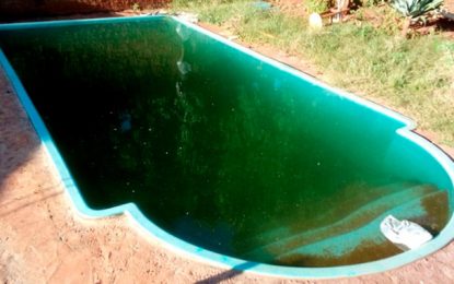 Temporais aumentam risco de surtos de dengue pelo país