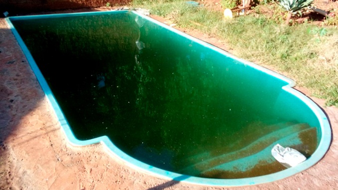 Temporais aumentam risco de surtos de dengue pelo país