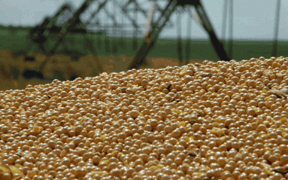 Estimativa eleva recorde da safra 2020 para 249 milhões de toneladas