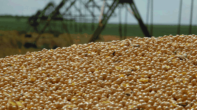 Estimativa eleva recorde da safra 2020 para 249 milhões de toneladas