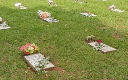 Rosa da Esperança: produtores de rosas de Barbacena e Alfredo Vasconcelos e voluntários levam Esperança, em ação solidária 7 DE ABRIL DE 2020