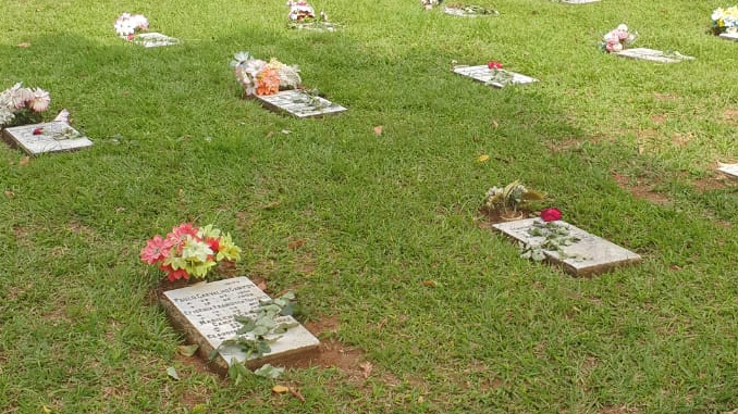 Rosa da Esperança: produtores de rosas de Barbacena e Alfredo Vasconcelos e voluntários levam Esperança, em ação solidária 7 DE ABRIL DE 2020