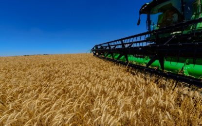 Agronegócio ganha ferramenta que acompanha evolução da Covid-19 no país