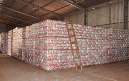 Funai distribui cestas básicas para indígenas de todo o país