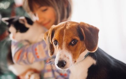 Cães e gatos podem ser infectados com o novo coronavírus, mas não transmitem o vírus a humanos