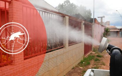 Em meio à pandemia do coronavírus, Brasil notifica mais de 600 mil casos de dengue