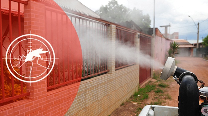 Em meio à pandemia do coronavírus, Brasil notifica mais de 600 mil casos de dengue