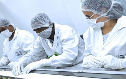 Fiocruz divulga nota em defesa de pesquisadores que foram alvo de ataques virtuais