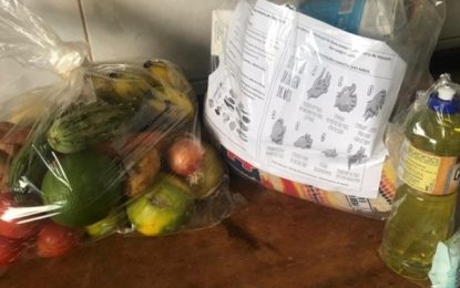 Educação distribui kits da merenda escolar para alunos da Rede Municipal