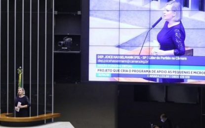 Câmara aprova linha de crédito para micro e pequenas empresas durante pandemia de covid-19