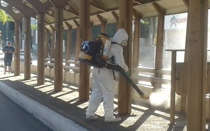 Brasil passa de 241 mil casos confirmados de coronavírus e tem 16 mil mortes