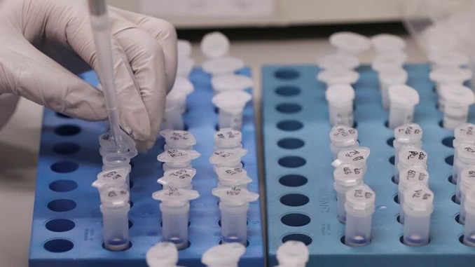 Municípios brasileiros iniciam instalação de Centros de Atendimento para pacientes com a Covid-19