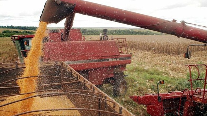 Estimativa de maio mantém recorde para safra de grãos em 2020, aponta IBGE