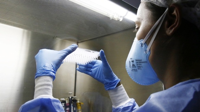 Brasil tem quase 40 mil mortes e 772.416 casos confirmados de coronavírus