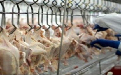 Portaria define medidas de prevenção da Covid-19 em frigoríficos e indústrias de laticínios