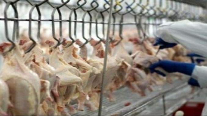 Portaria define medidas de prevenção da Covid-19 em frigoríficos e indústrias de laticínios