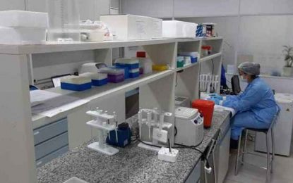 Laboratórios da UFMG realizam 300 testes de Covid-19 por dia