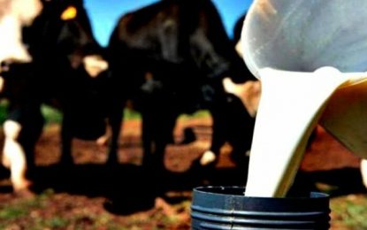 Muito além da economia: Novo Coronavírus alerta produtores leiteiros sobre questões sanitárias na produção