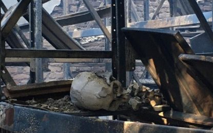 Prédio do Museu de História Natural da UFMG pega fogo em BH