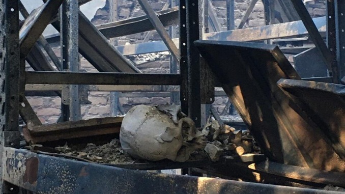 Prédio do Museu de História Natural da UFMG pega fogo em BH