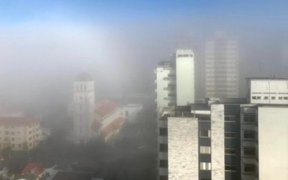 Frio deve dificultar entrada de gafanhotos no Brasil
