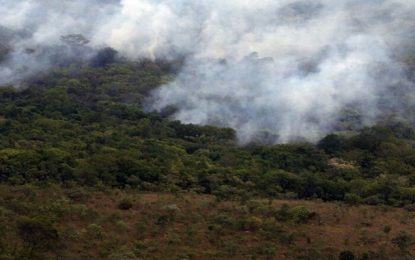 Governo Federal proíbe queimadas em todo o país por 120 dias