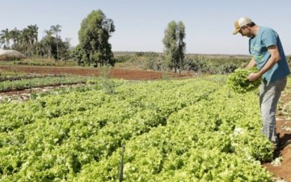 Projeto de socorro a agricultores familiares é aprovado pela Câmara dos Deputados