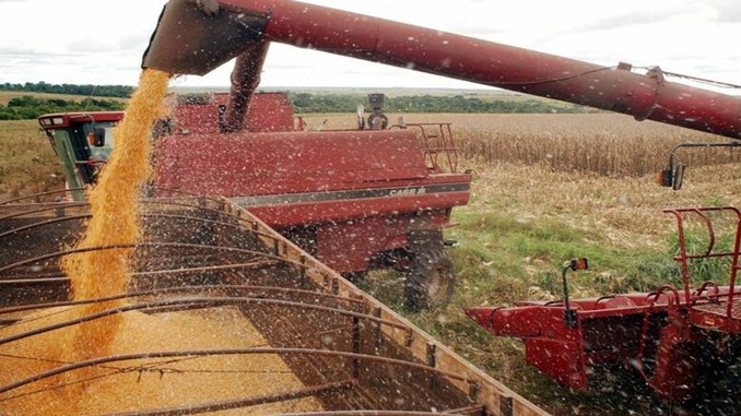 Preços de venda da soja cresce entre quase 30% no primeiro semestre deste ano