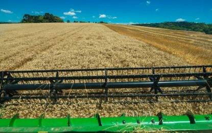 Agronegócio: Exportações brasileiras crescem 16,5% no primeiro semestre