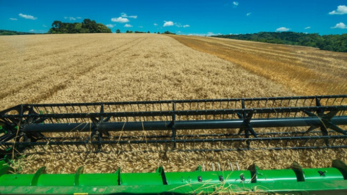 Agronegócio: Exportações brasileiras crescem 16,5% no primeiro semestre