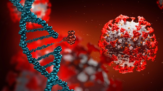 60% das pessoas que tiveram a Covid-19 no Brasil estão recuperadas