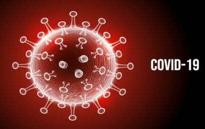 Profissionais de saúde de MG intensificam rastreamento de contatos de contaminados pela covid-19