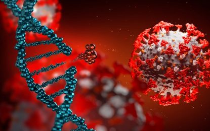 Brasil registra mais 40 mil novos casos confirmados de Covid-19