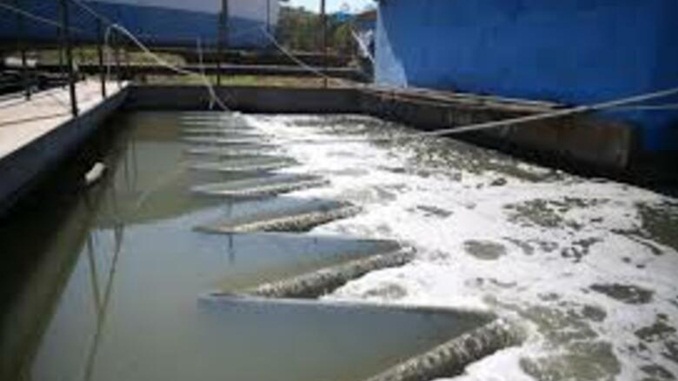 Belo Horizonte (MG): Número de pessoas com a Covid-19 pode ser até 75 vezes maior do que os casos confirmados