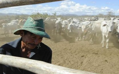 Movimento de municipalização do ITR pode gerar mais arrecadação aos entes federados