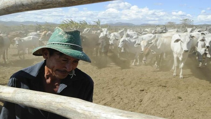Movimento de municipalização do ITR pode gerar mais arrecadação aos entes federados