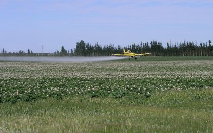 Minas tem expectativa de alta de 18% no valor bruto da produção agropecuária