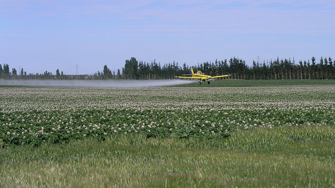 Minas tem expectativa de alta de 18% no valor bruto da produção agropecuária