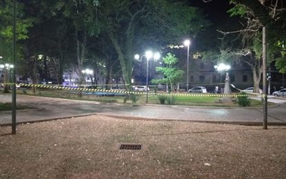 Praça é isolada em Lavras por ataque de abelhas